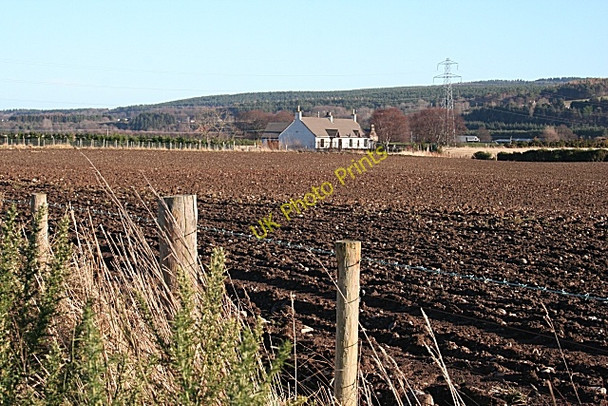 Photo 6"x4" Easterton of Dipple Inchberry\/NJ3155 c2009