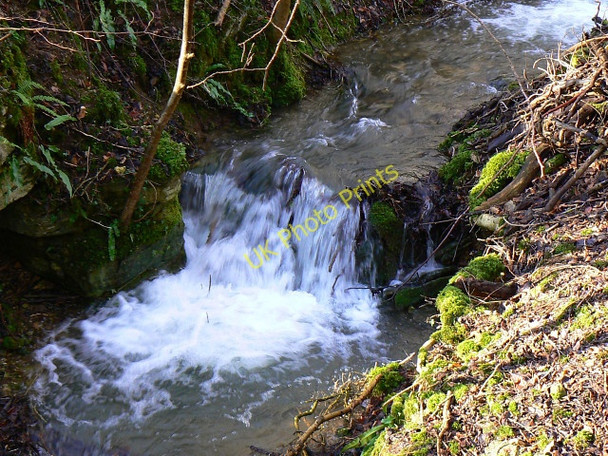 Photo 6"x4" Holy Brook, Siccaridge Wood, near Frampton Mansell Daneway c2009