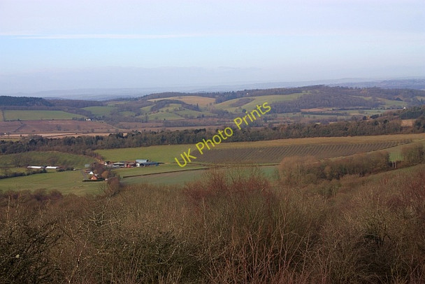 Photo 6"x4" Netherton Farm Barton Court\/SO7440 c2009