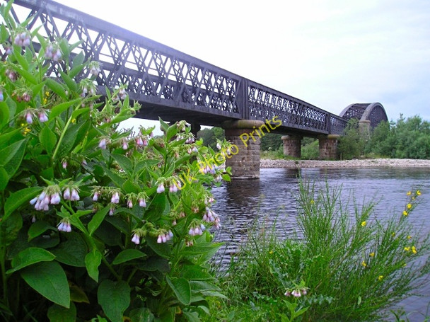 Photo 6"x4" River Spey Railway Viaduct Garmouth c2004