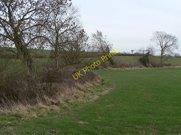 Photo 6"x4" Dunstal Brook Dunstal c2009