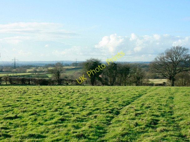 Photo 6"x4" 2009 : Pasture off Durlett Road Sells Green c2009