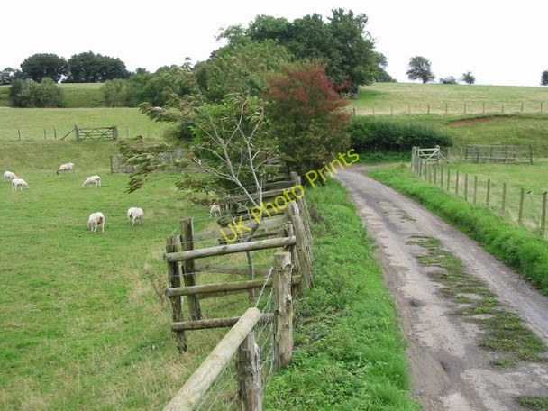 Photo 6"x4" Looking E on Winterage Lane Shuttlesfield c2008