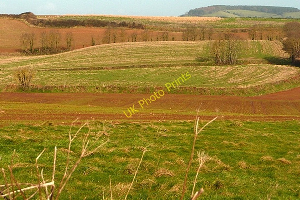 Photo 6"x4" Inland near Black Head Budleigh Salterton c2009