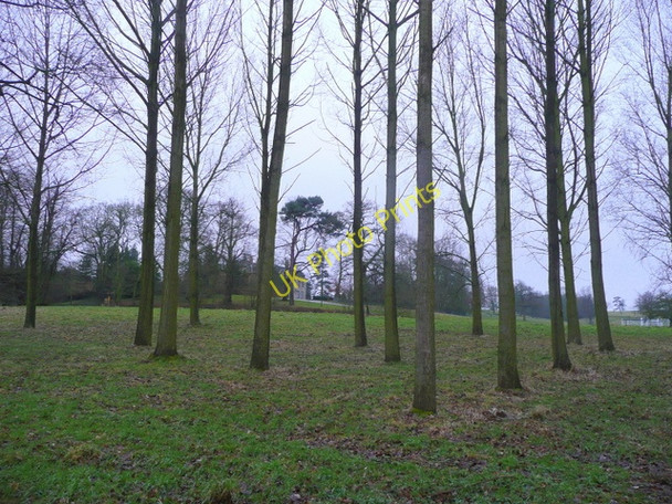 Photo 6"x4" View through the trees South Croxton c2009