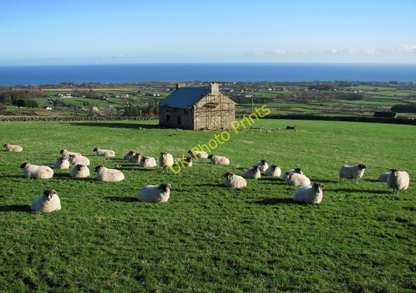 Photo 6"x4" House near Carrick Little Annalong c2009