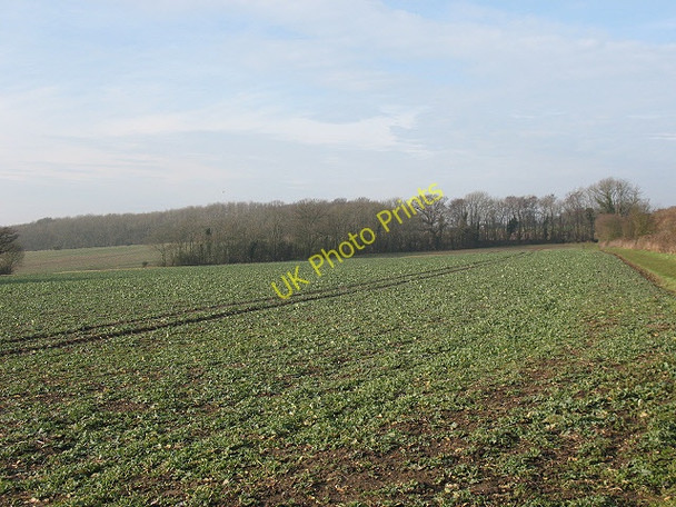 Photo 6"x4" Organic crop Leadingcross Green c2009