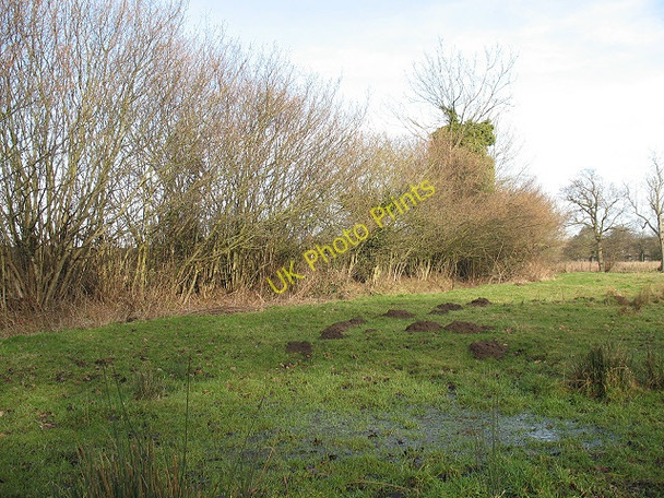 Photo 6"x4" Submerged moles? Lenham Heath c2009