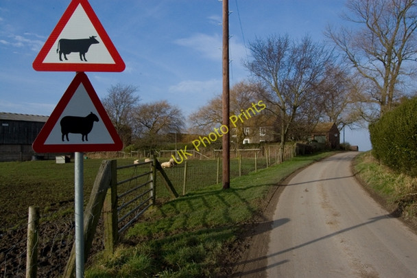 Photo 6"x4" Hunt Hill Farm, Hempholme Burshill c2009