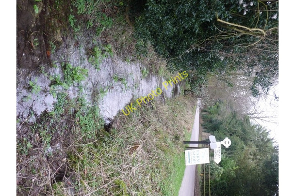 Photo 6"x4" Tarrant Gunville: the Tarrant alongside the road Tarrant Gunville c2009