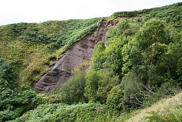 Photo 6"x4" Spout of Balbowie Fintry\/NS6186 c2007