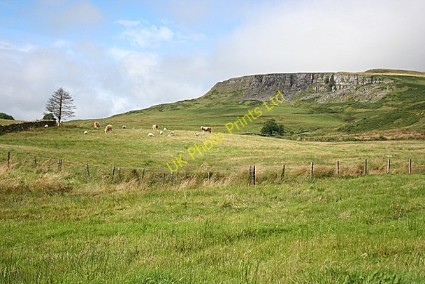 Photo 6"x4" Double Craigs Fintry\/NS6186 c2007