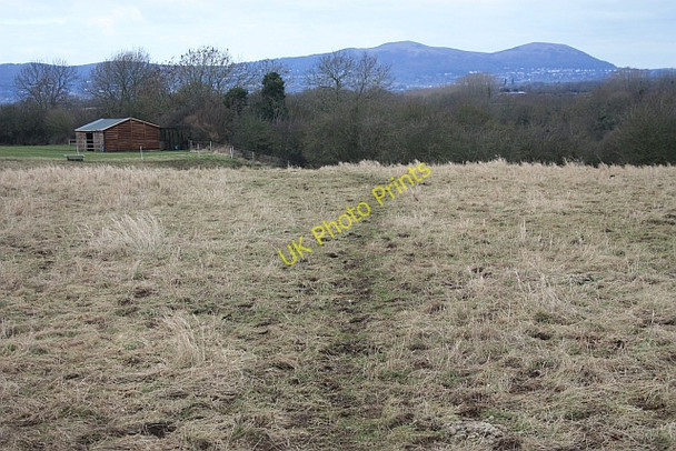 Photo 6"x4" Horse Pasture near Tiltridge The Hyde\/SO8340 c2009