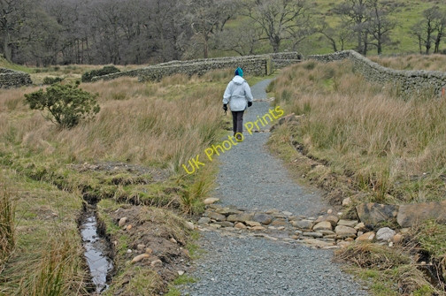 Photo 6"x4" Footpath to Fell End from Grizedale Bridge Oakenclough\/SD5447 c2009