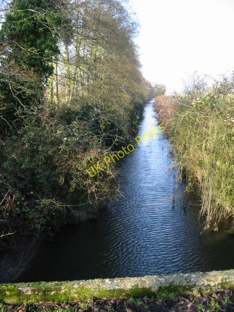 Photo 6"x4" Looking WNW along Richborough Stream Lower Goldstone c2009