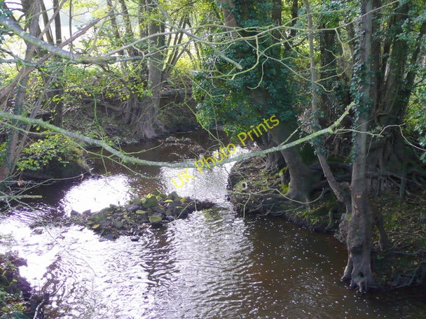 Photo 6"x4" Tributary of the Trothy Onen c2008