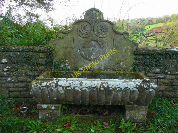 Photo 6"x4" Ornate horse trough Tal-y-coed c2008