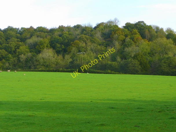 Photo 6"x4" Coed Gwraig Tal-y-coed c2008