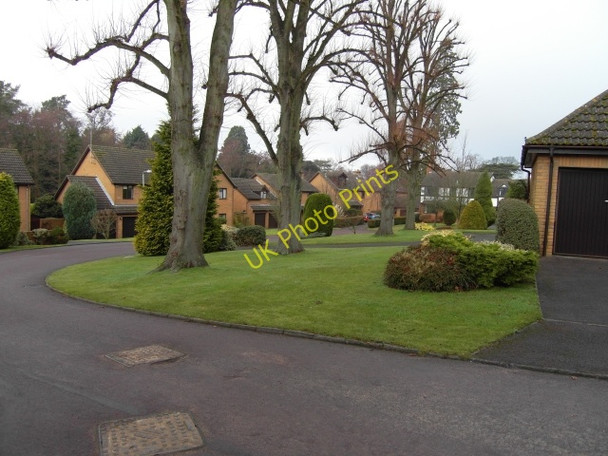 Photo 6"x4" Moorend Glade, Charlton Kings Cheltenham c2009