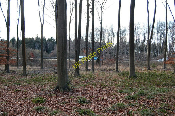 Photo 6"x4" M3 and Micheldever Woods Micheldever c2009