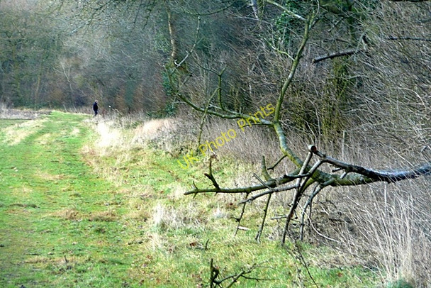 Photo 6"x4" North of Beech Wood Hampstead Norreys c2009