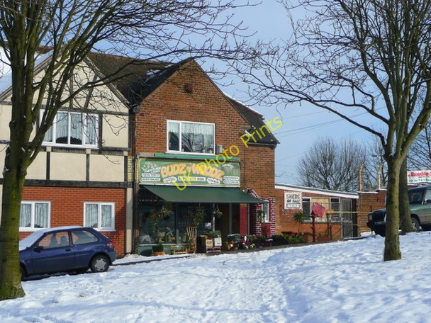 Photo 6"x4" Budz and Woodz, Longbridge Cofton Common c2009