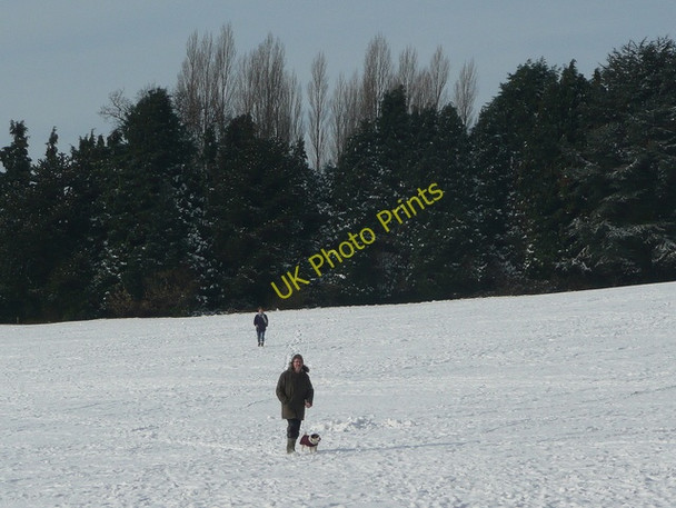 Photo 6"x4" Cofton Park 2 Rednal\/SP0076 c2009