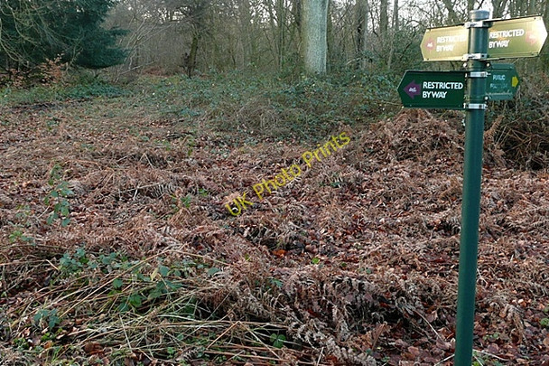 Photo 6"x4" Junction in Beche Park Wood Ashampstead Green c2009
