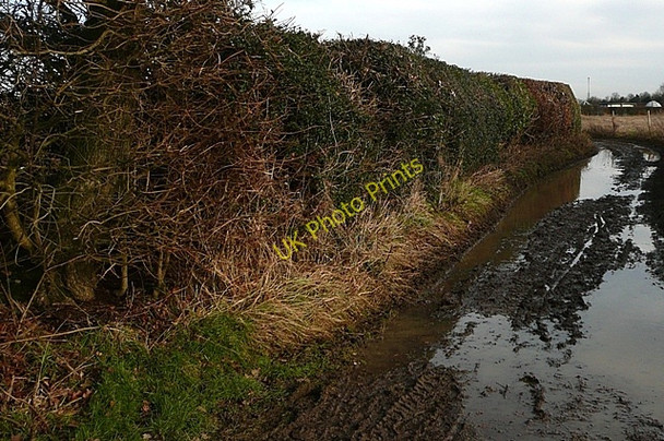 Photo 6"x4" Lane towards Flaunden Flaunden c2009
