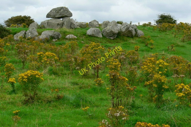 Photo 6"x4" Carrowmore Megalithic Cemetery Knocknahur c2005