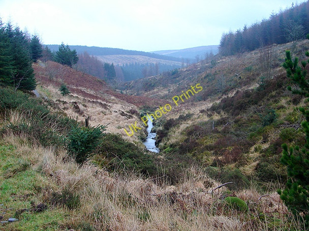 Photo 6"x4" Afon Hore beside the Wye Valley Walk Hafren Forest c2009