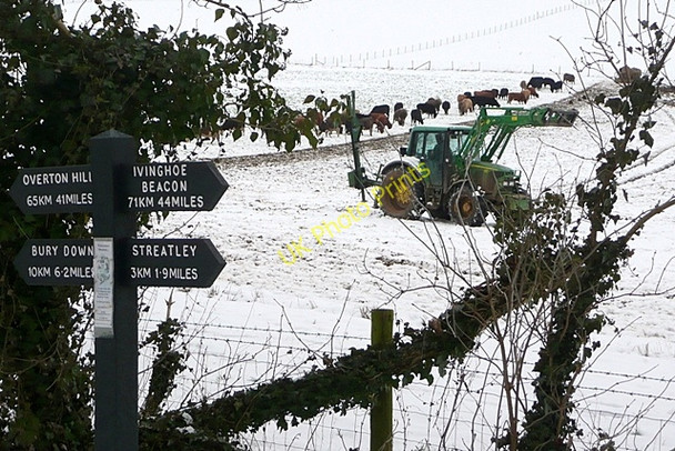 Photo 6"x4" Tending to the stock Westridge Green c2009