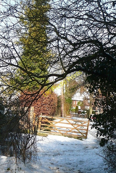 Photo 6"x4" Approaching Blewbury Blewbury c2009