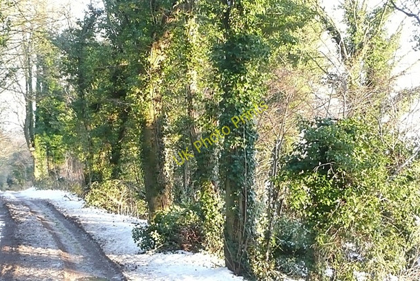 Photo 6"x4" Ridgeway towards Streatley Westridge Green c2009