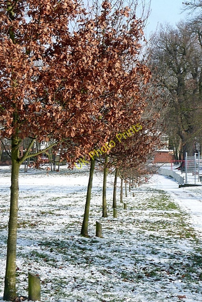 Photo 6"x4" Trees in Prospect Park Churchend\/SU6772 c2009