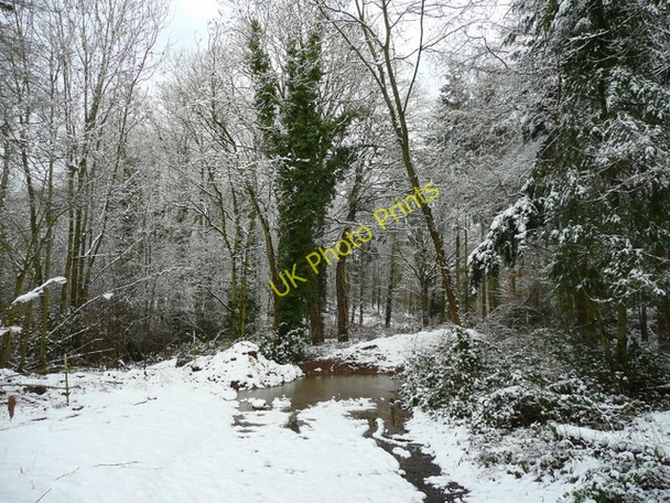 Photo 6"x4" Snowy track into Linton Woods Linton\/SO6625 c2009