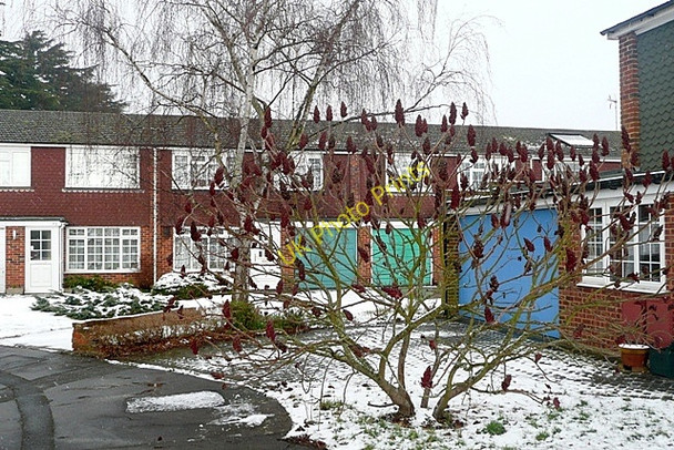 Photo 6"x4" Maldon Close Reading c2009