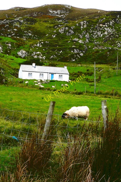 Photo 6"x4" Cottage east of Port Kilgoly c2005