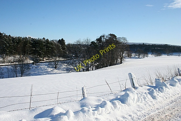 Photo 6"x4" Near Crooksmill Keith c2009