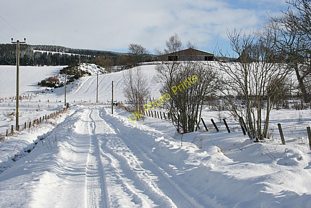 Photo 6"x4" Nethertown Farm Berryhillock\/NJ5060 c2009