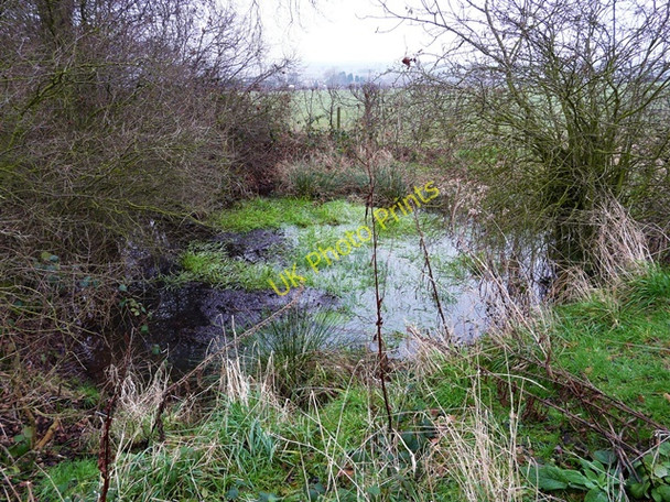Photo 6"x4" Pond on Cowley Hill Hamstall Ridware c2009