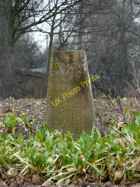 Photo 6"x4" Trig. Point on Hunger Hill Pipe Ridware c2009