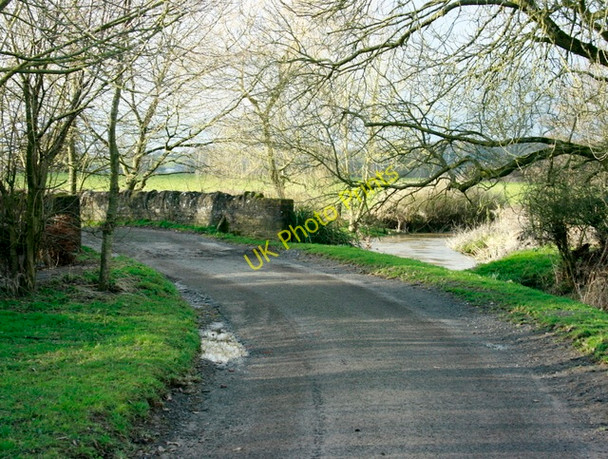 Photo 6"x4" 2009 : Smithick's Bridge Alder Row c2009