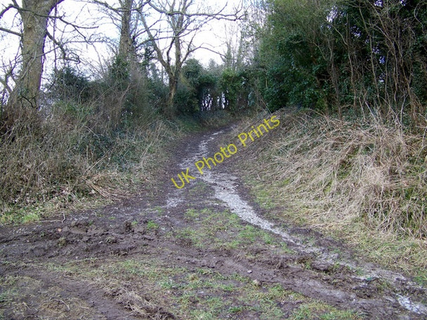 Photo 6"x4" Imber Range Path, Chitterne Chitterne c2009