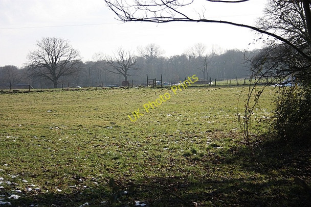 Photo 6"x4" Path to Lower Arles Wood Poolbrook c2009