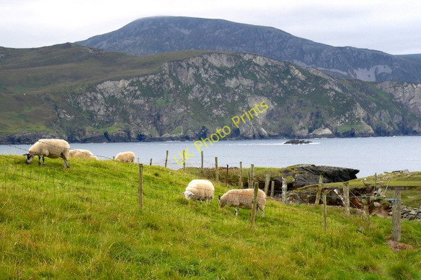 Photo 6"x4" Loughros Beg Bay & Slievetooey Mountains Crannogeboy c2005