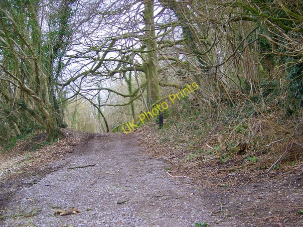 Photo 6"x4" Byway, Castle Hill Cranborne c2009