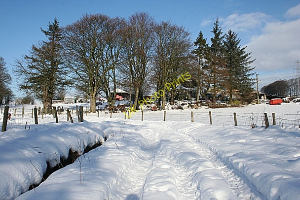 Photo 6"x4" Fife Cottage Keith c2009