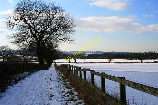 Photo 6"x4" Down the Robin Hood Way Strelley c2009