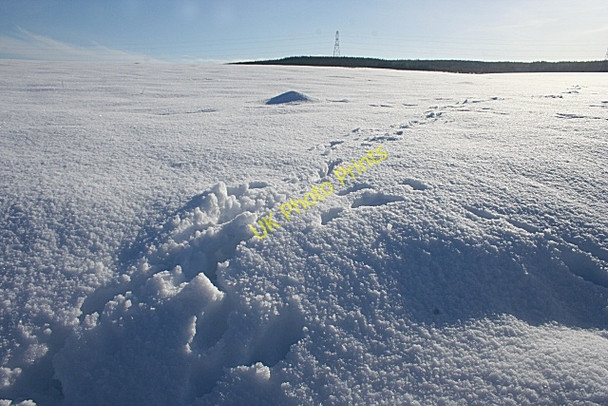Photo 6"x4" Near Lowrie Bridge Keith c2009 P2